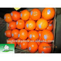 Vente chaude Chinese Navel Orange Newhall